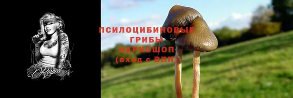 метадон Михайловск