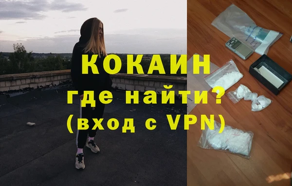 шишки Михайловка