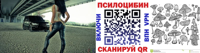 Псилоцибиновые грибы MAGIC MUSHROOMS  Купить где  Новоржев 